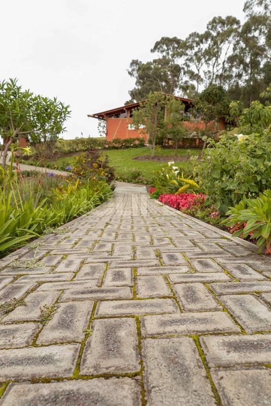 path in a park with garden and nature around, in the background a cozy house