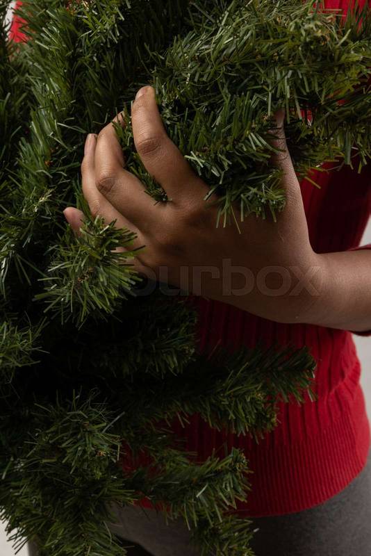 holding a branch of a pine tree, leaves and part of a christmas tree, texture