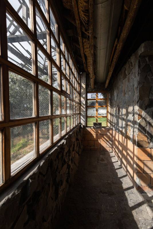 Soft sunlight enters through a grid of rustic windows, interior design