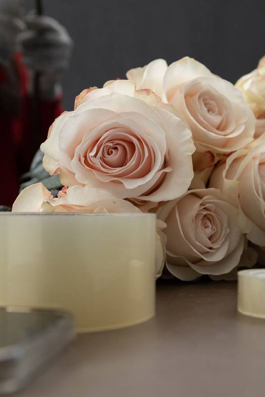 bouquet of fresh pink roses, nature as decoration and gift, flowers