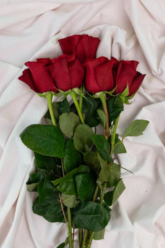 bouquet of red roses fresh leaves, style and elegance, background with floral design