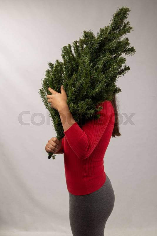 person holding part of artificial pine tree for christmas
