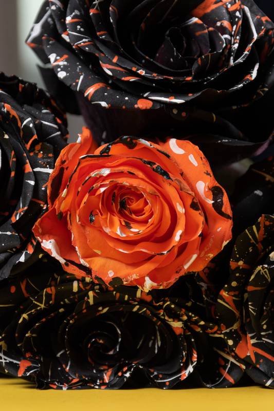 bouquet of roses, mixing black and orange flowers all splattered with colorful paint