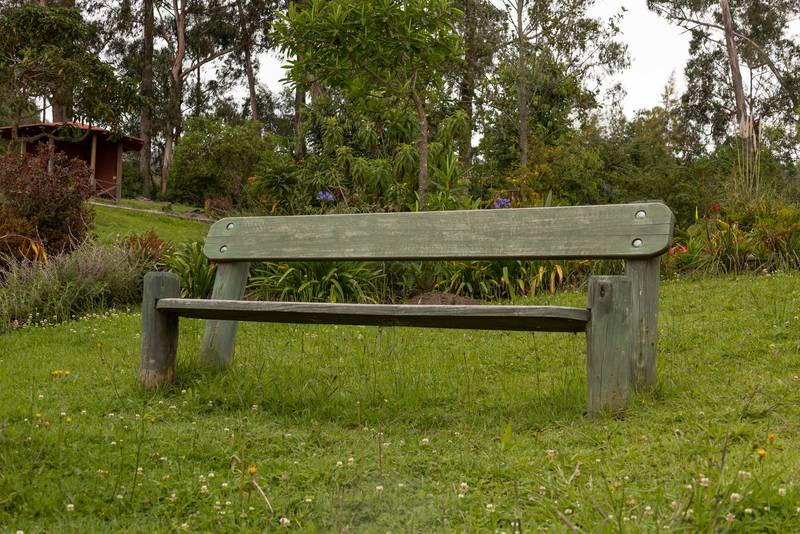 empty bench in the middle of grass, beautiful park