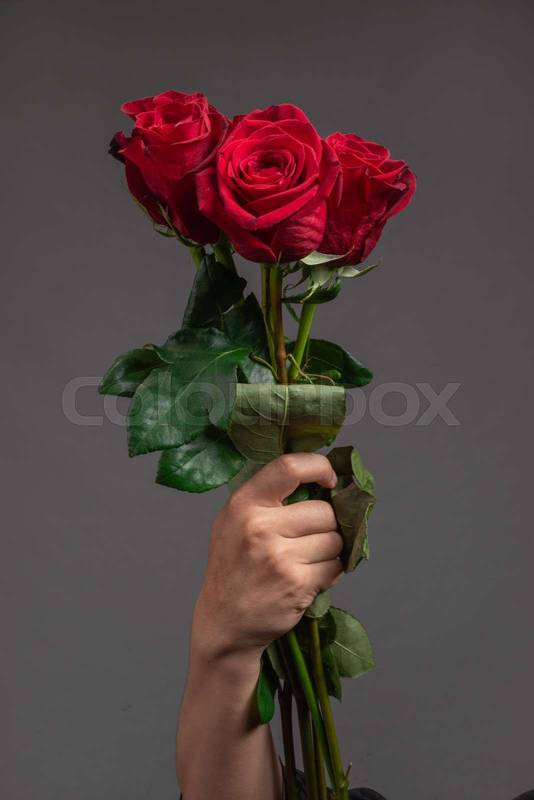 red rose, beauty of nature, close up to the petals of the natural flower, gift
