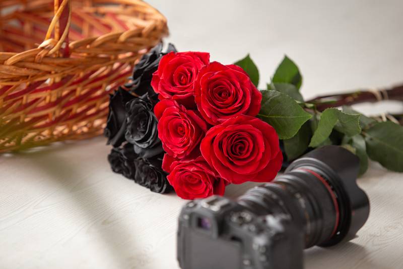 bouquet with black and red roses, next to a modern professional photo camera behind a basket,