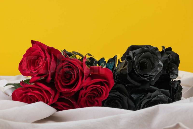 fresh and natural flowers, style and elegance, present Valentine's Day