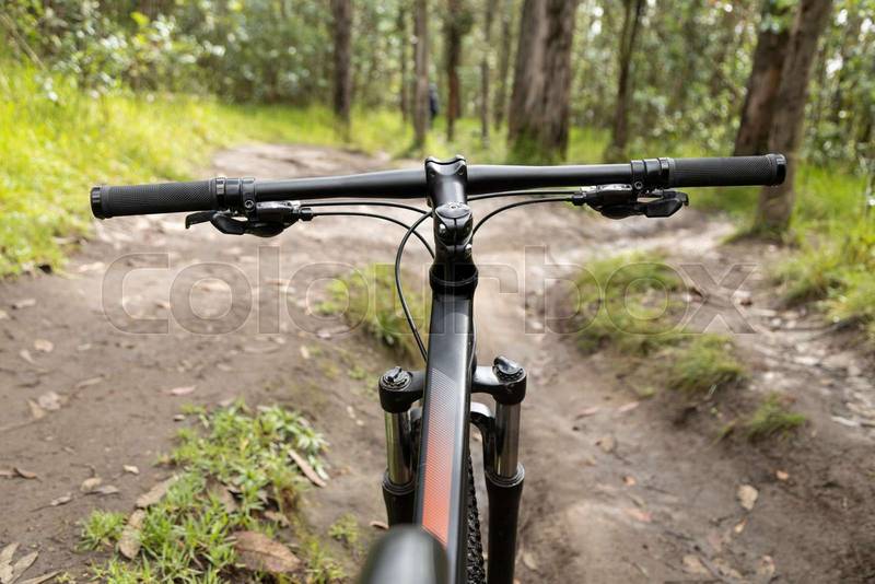 bicycle in a forest, extreme hobby, adventure