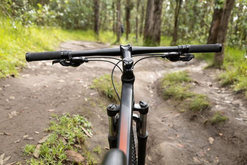 bicycle in a forest, extreme hobby, adventure