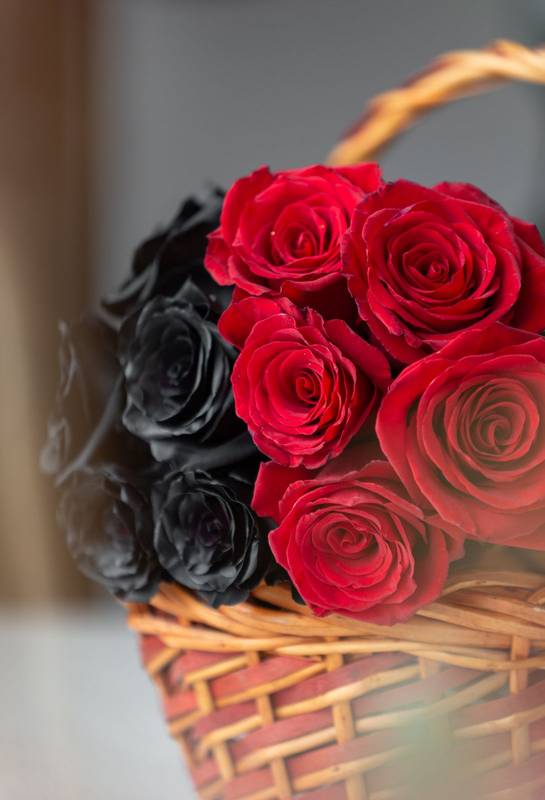decoration with beauty of nature on a table, detail of the petals in studio
