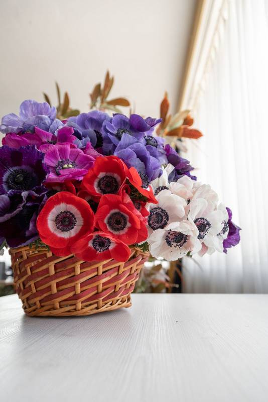 wicker basket with various flowers of different colors, beautiful decorative