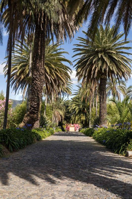 tall palm trees and lush greenery, guiding the view toward a colonial hacienda