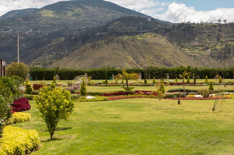 garden surrounded by manicured plants and trees with a beautiful mountain, landscape