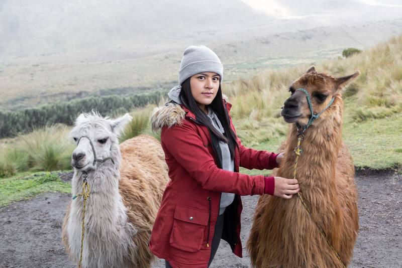 rural destination with young woman wearing a winter clothes while walking with some llamas