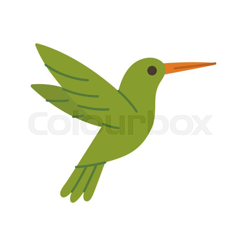 Foto de stock de colibrí, pájaro, verde