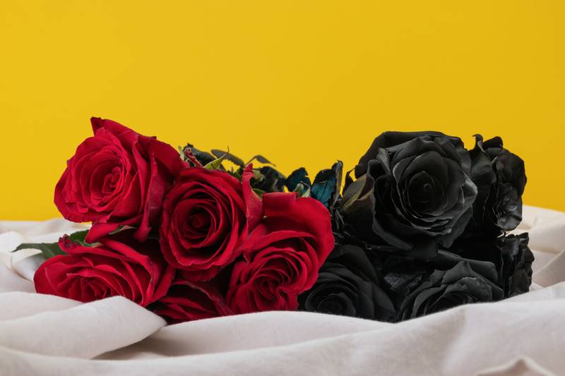 fresh and natural flowers, style and elegance, present Valentine's Day