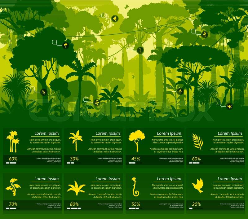 Jungle forest silhouette, rainforest background. Amazon fore