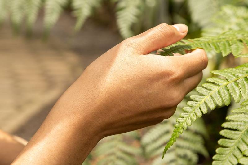 wallpaper with part of the human body, natural environment