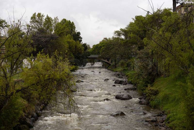 Scenic view of a river flowing between green trees and rocky banks under an overcast sky, landscape