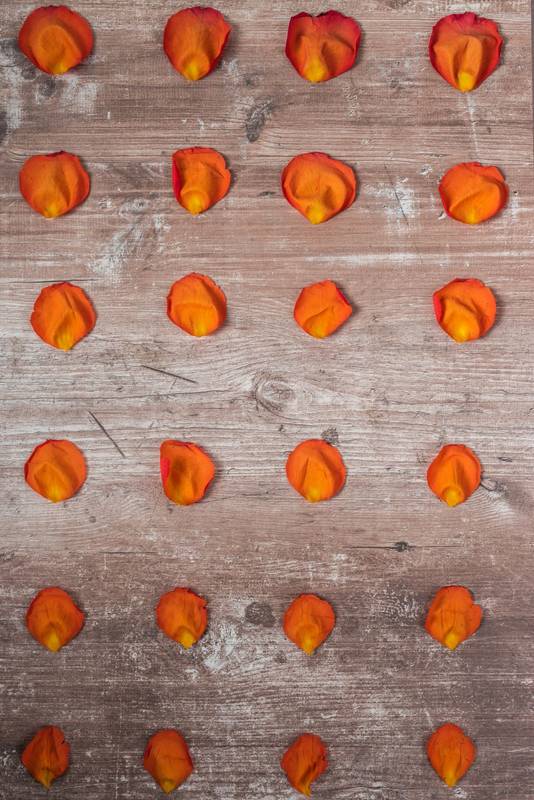 wallpaper with orange rose petals arranged in straight lines, design