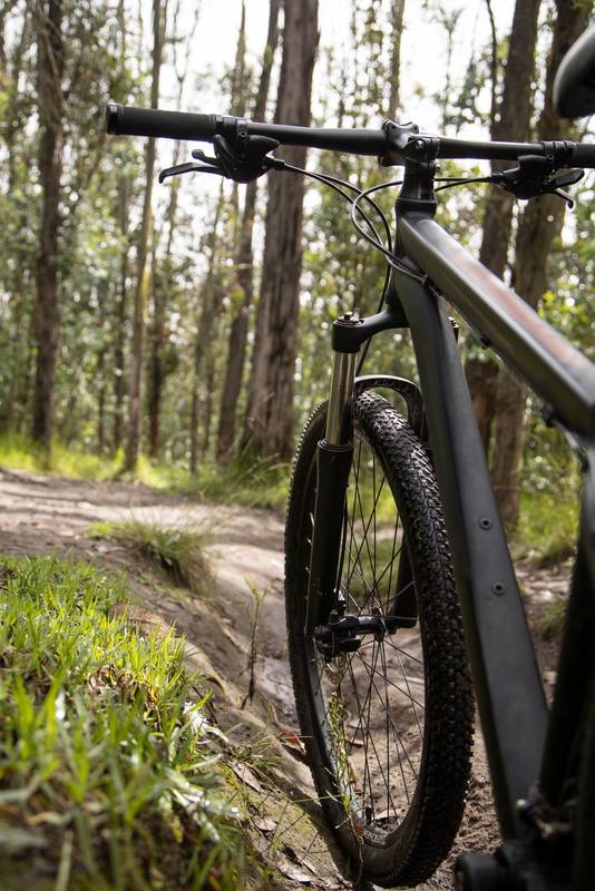 a bicycle that stands on a dirt road in the middle of the forest on a sunny day