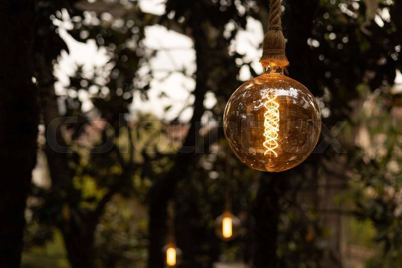 Illuminated retro-style bulb hanging from a rope among dense tree branches