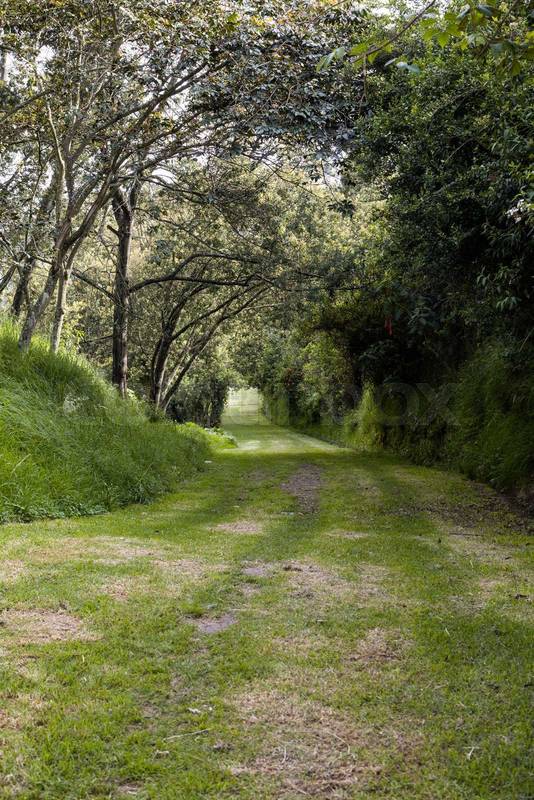 landscape of a park with a dirt road, nature